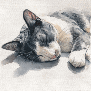 Realistic watercolor painting of a sleeping black and white cat on a textured surface